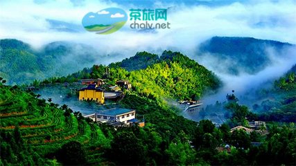 茶香漫山巒，文旅譜新篇——宜賓市敘州區(qū)天宮山茶旅融合開發(fā)項目有序推進