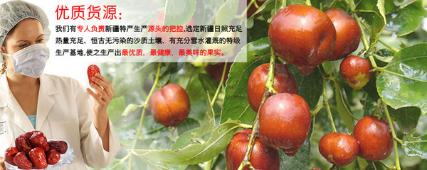 批發零售樂維伊和田駿棗與和田玉棗子——優質五星紅棗的全面解析