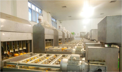 以“新”賦能，“味”見未來！豐島食品走出綠色智造之路