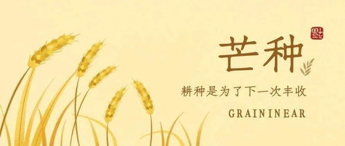 梔子花開，麥黃梅熟 仲夏時(shí)節(jié)話谷類作物