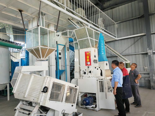 鄉(xiāng)村振興 供銷先行 瀘縣方洞鎮(zhèn)供銷合作社搭建增收致富直通車
